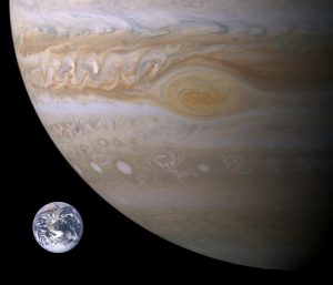 Simple Ipl Betting Websites Comparison: Which Is Better for Indian Players in 2026?